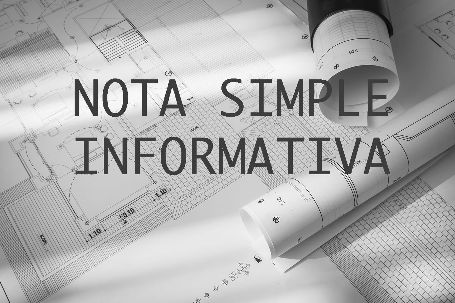 Nota Simple (Nota Simple Informativa) Property Registry Filing